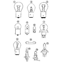 Lampada H3 12V -  55W  conf. 6 pz.