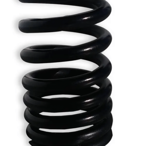 Immaginemolle Satellite