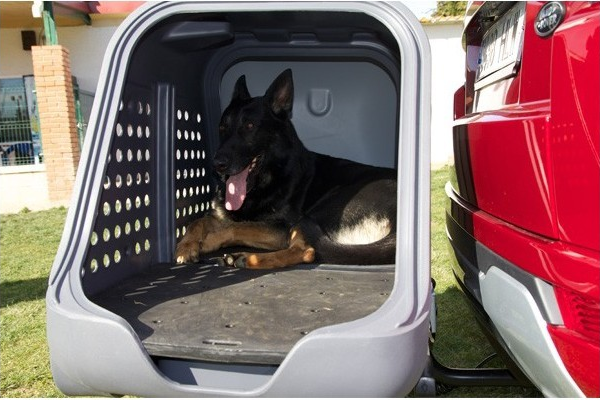 Towbox Dog V 2 grigio - immagine 5