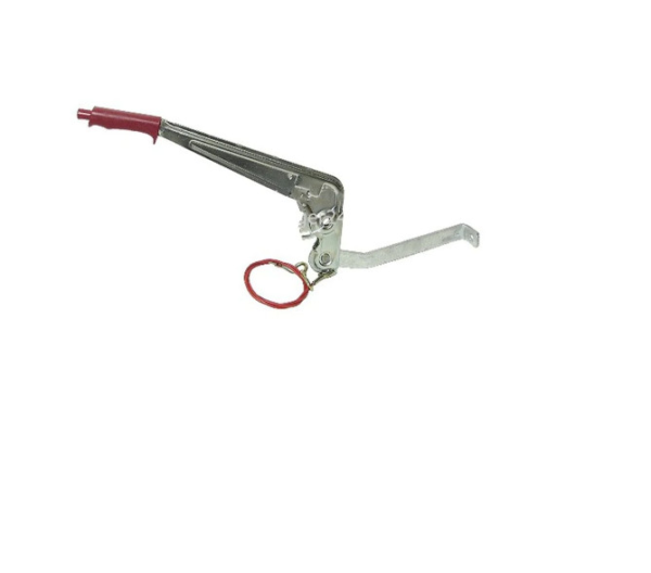 wp image7733 wp image7733